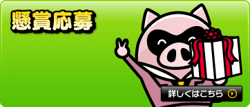 懸賞応募