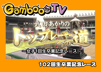 GambooTV